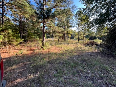 13.3 Excellent home site/cabin site near Antlers