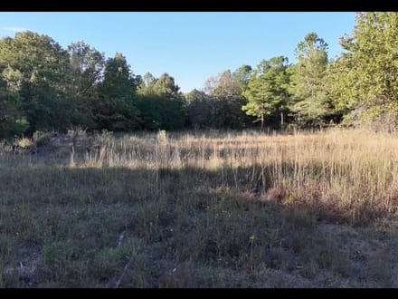 13.3 Excellent home site/cabin site near Antlers