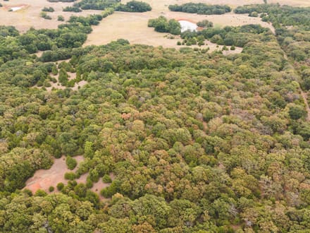 40 Acres Wellston