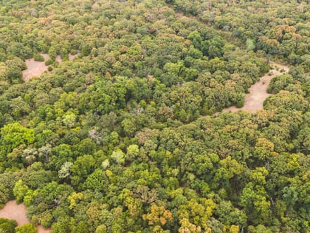 80 Acres Wellston