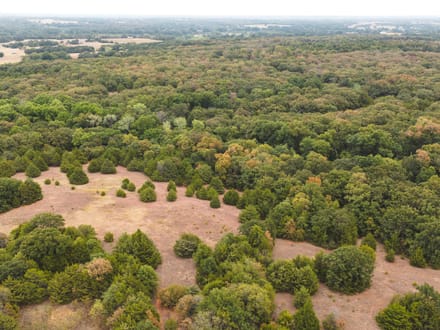 40 Acres Wellston