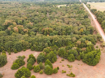 80 Acres Wellston
