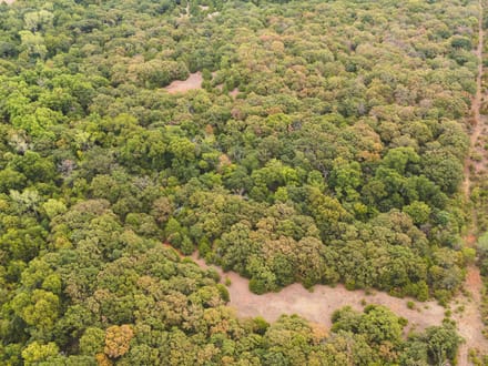 80 Acres Wellston