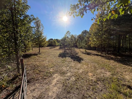200 Bowman Loop, Beech Bluff, TN 38313