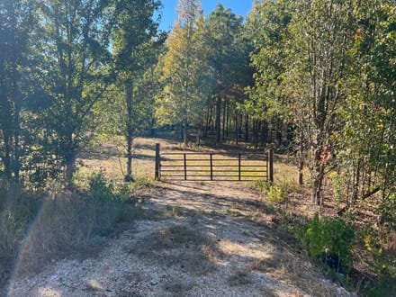 200 Bowman Loop, Beech Bluff, TN 38313