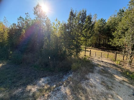 200 Bowman Loop, Beech Bluff, TN 38313