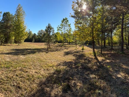200 Bowman Loop, Beech Bluff, TN 38313