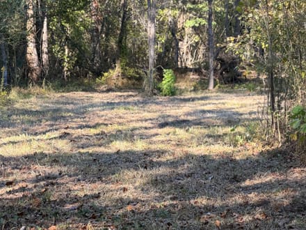 200 Bowman Loop, Beech Bluff, TN 38313