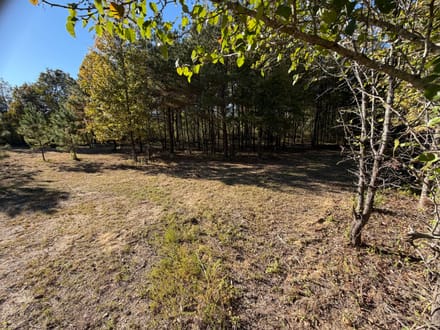 200 Bowman Loop, Beech Bluff, TN 38313