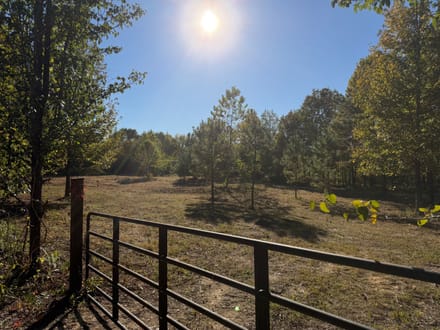 200 Bowman Loop, Beech Bluff, TN 38313