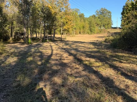 200 Bowman Loop, Beech Bluff, TN 38313