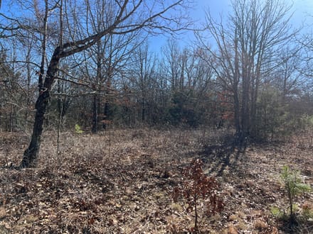Alpena Land For Sale!!!