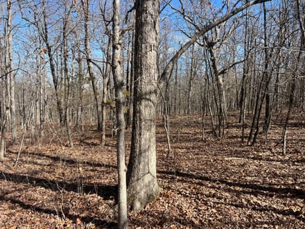 Alpena Land For Sale!!!