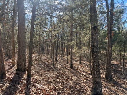 Alpena Land For Sale!!!