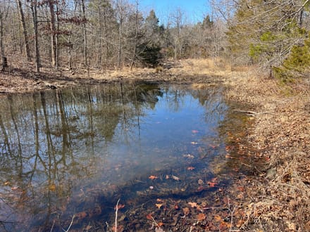 Alpena Land For Sale!!!