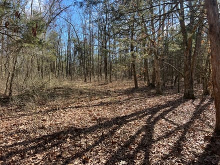 Alpena Land For Sale!!!