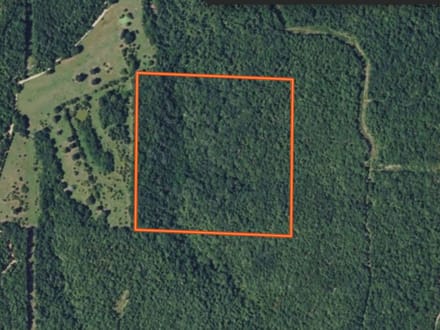 Hwy 412 40 acres