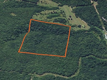 Hwy 412 40 acres