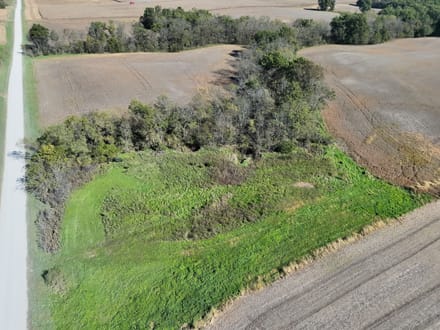 94+/- Acres Scotland County, MO