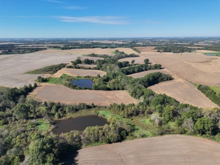 94+/- Acres Scotland County, MO