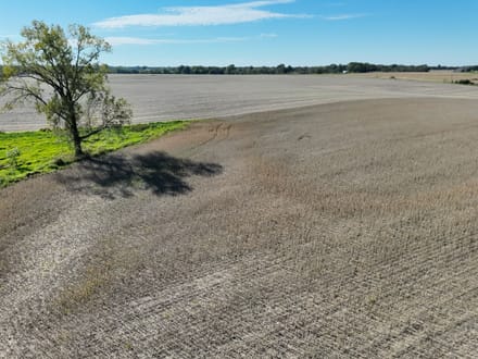 94+/- Acres Scotland County, MO