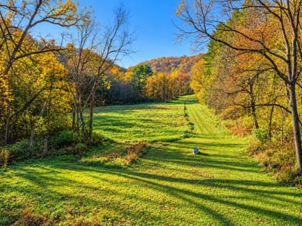 216.87+/- Acres Houston County, MN