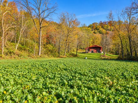 216.87+/- Acres Houston County, MN
