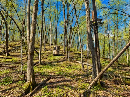 216.87+/- Acres Houston County, MN