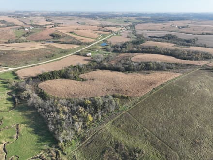159.39 +/- Acres Clayton County, IA
