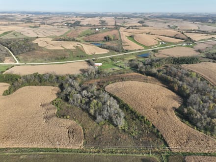 159.39 +/- Acres Clayton County, IA
