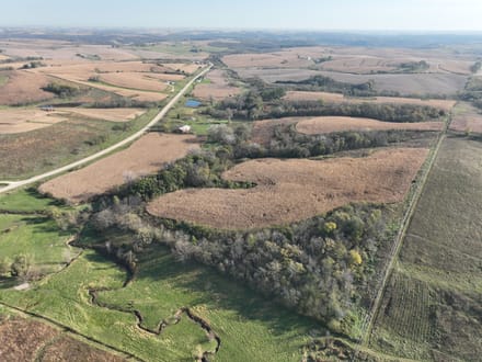 159.39 +/- Acres Clayton County, IA