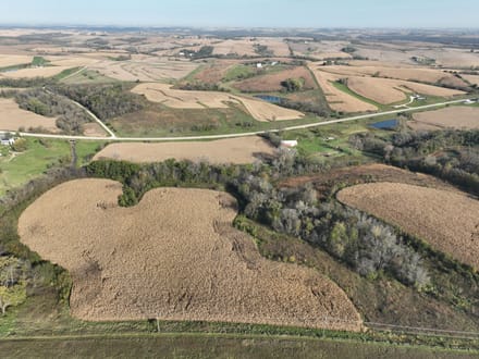 159.39 +/- Acres Clayton County, IA