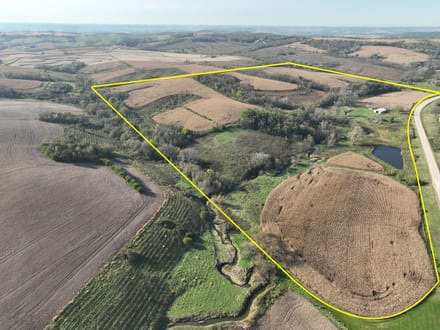 159.39 +/- Acres Clayton County, IA