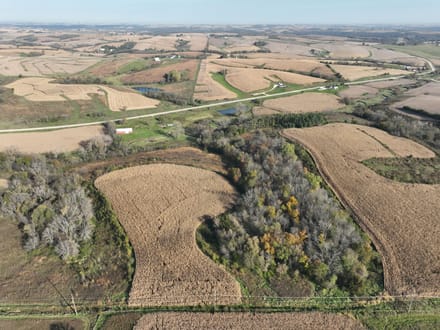 159.39 +/- Acres Clayton County, IA