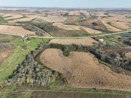 159.39 +/- Acres Clayton County, IA