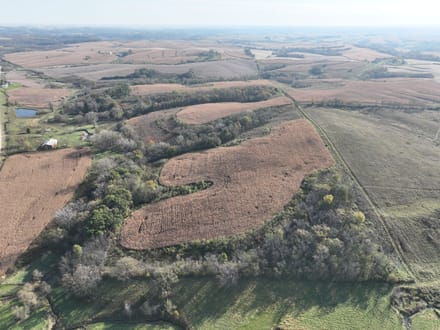 159.39 +/- Acres Clayton County, IA