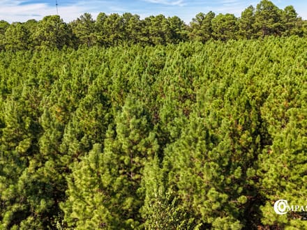 COLUMBUS RIDGE TRACT