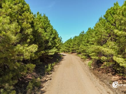COLUMBUS RIDGE TRACT