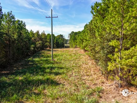 COLUMBUS RIDGE TRACT