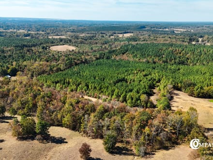 MUDDY FORK TRACT