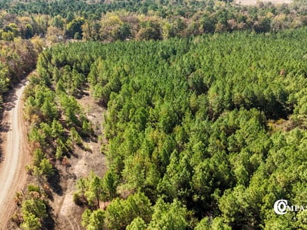 MUDDY FORK TRACT