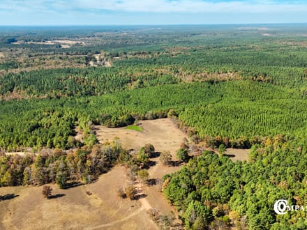 MUDDY FORK TRACT