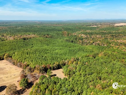 MUDDY FORK TRACT
