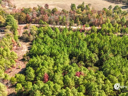 MUDDY FORK TRACT