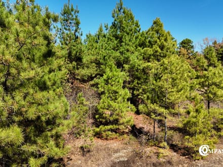 MUDDY FORK TRACT