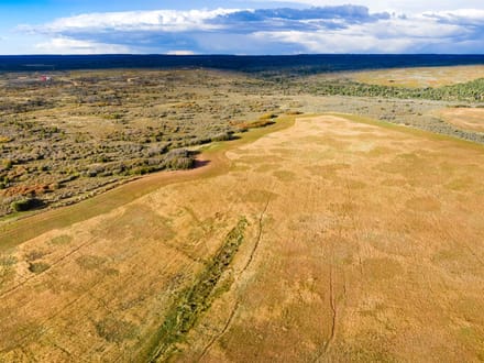 Dolores Canyon Ranch