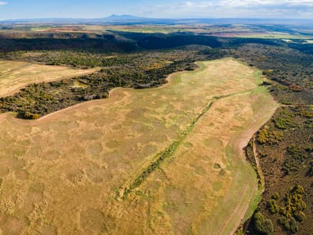 Dolores Canyon Ranch
