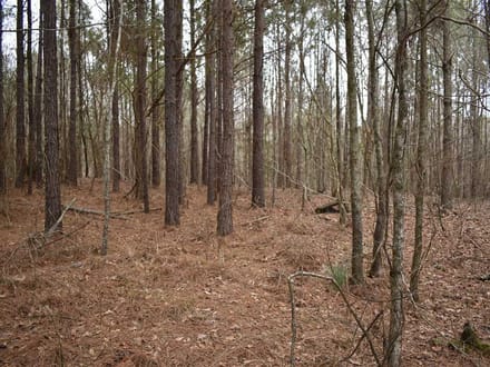 Bragg Lake 