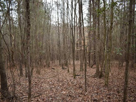 Bragg Lake 