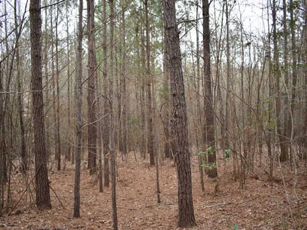 Bragg Lake 